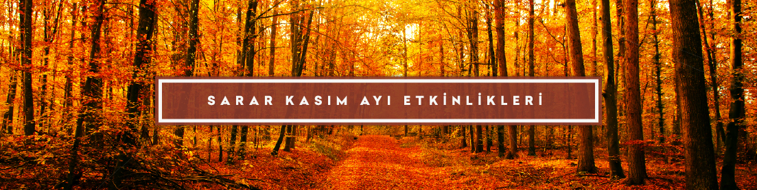kasim-etkinlik-takvimi-2