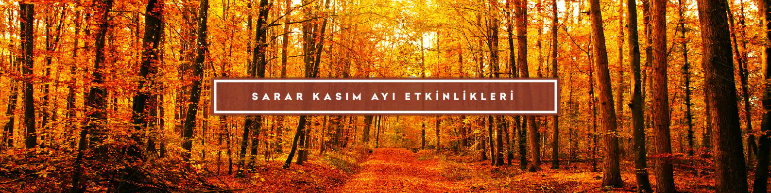 kasim-etkinlik-takvimi-1