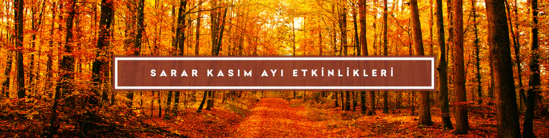 kasim-etkinlik-takvimi-2