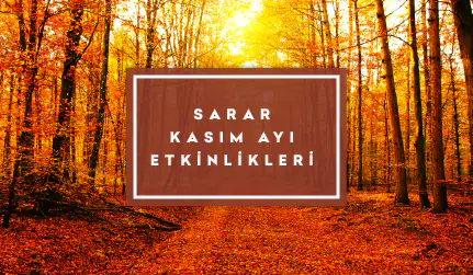 kasim-etkinlik-takvimi-3