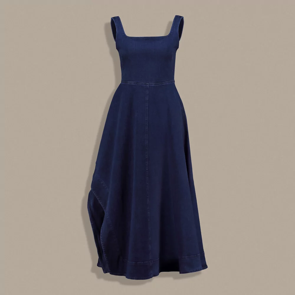 Valenti Denim Elbise